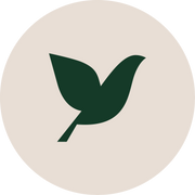 Paloma Diamonds logo